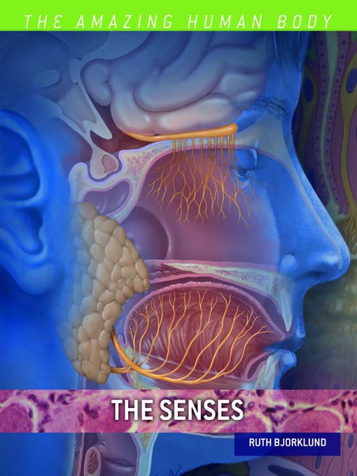 Title details for The Senses by Ruth Bjorklund - Available